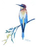 Bee Eater,  2007 Jess Knowles