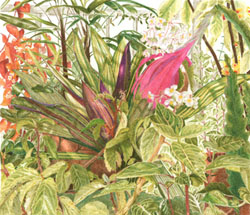 Hothouse, � 2008 Jess Knowles