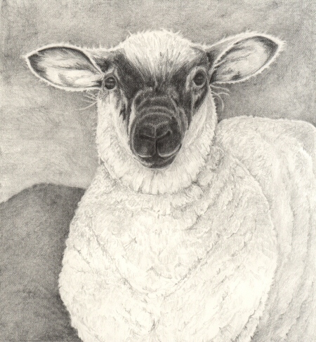 The Lamb at Edlesborough,  2010 Jess Knowles