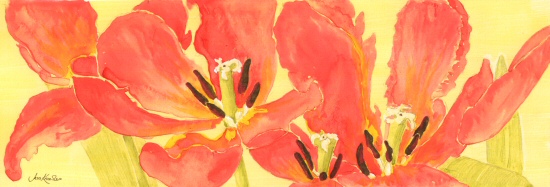 Red tulips,  2011 Jess Knowles