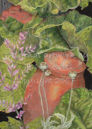 Rhubarb pots,  2007 Jess Knowles