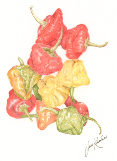 Chillies